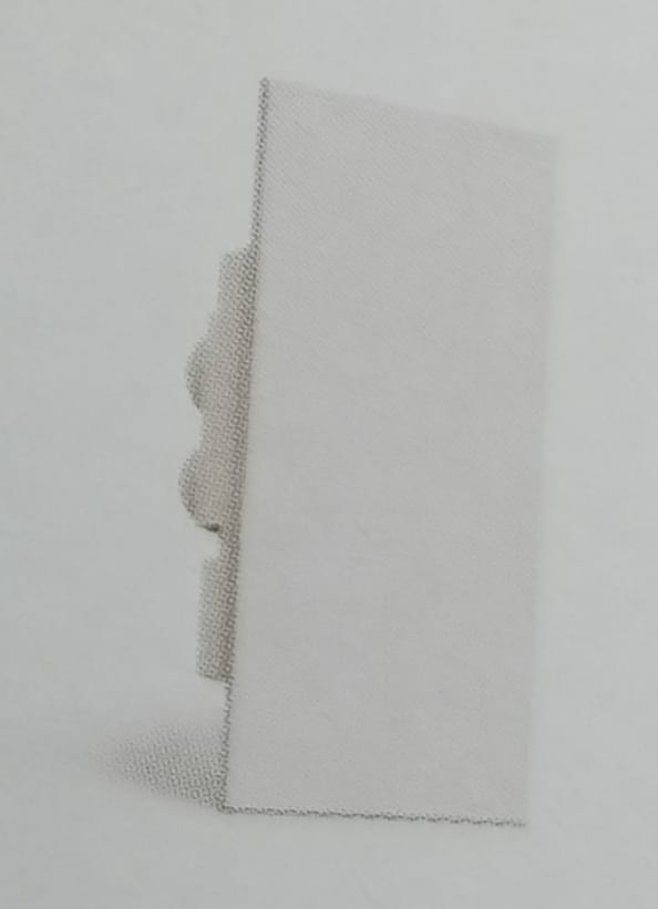 BLANKING PLATE WHITE 1 MODULE [White]